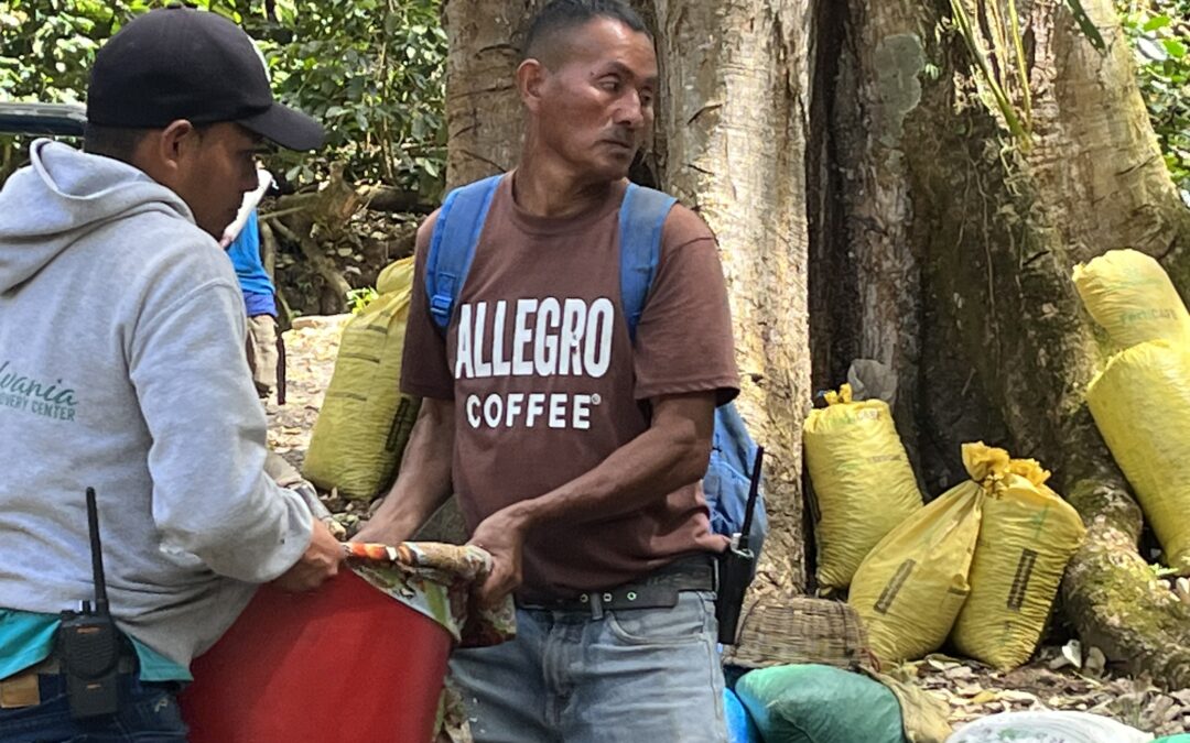 Selva Negra: unforgettable pristine cloud forest